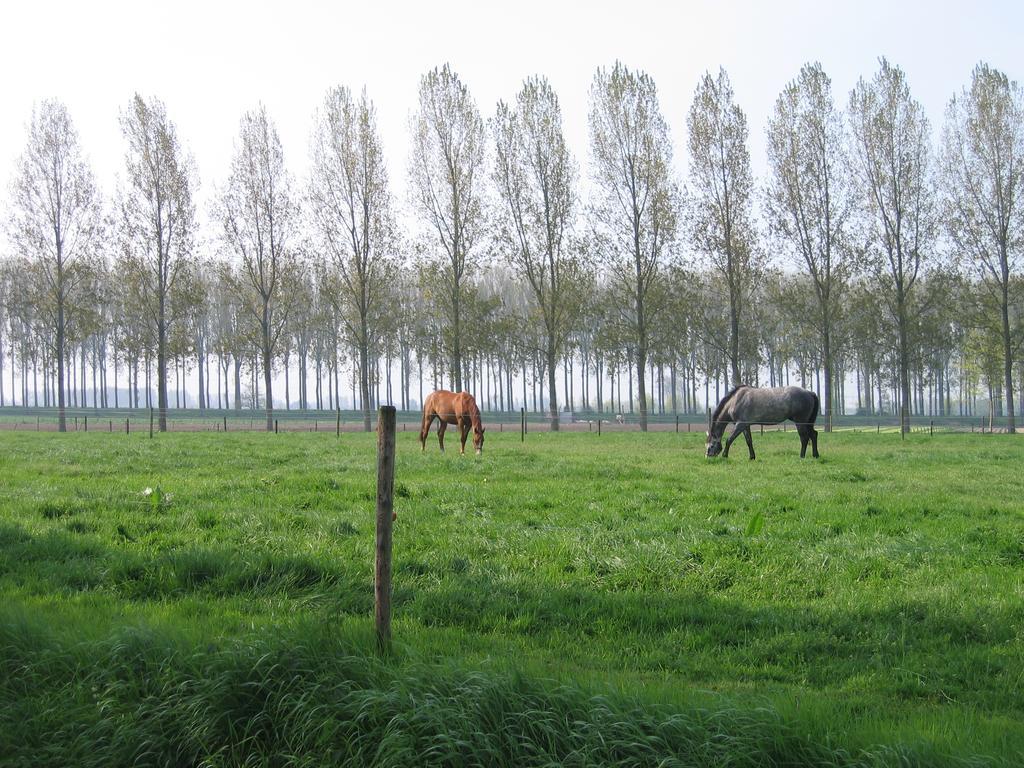 Jardin De Lieze Villa Maldegem Bagian luar foto